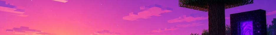 Balance SMP