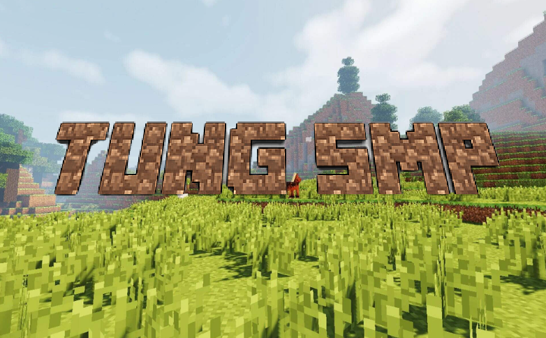 Tung SMP icon