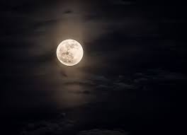 MoonFall icon